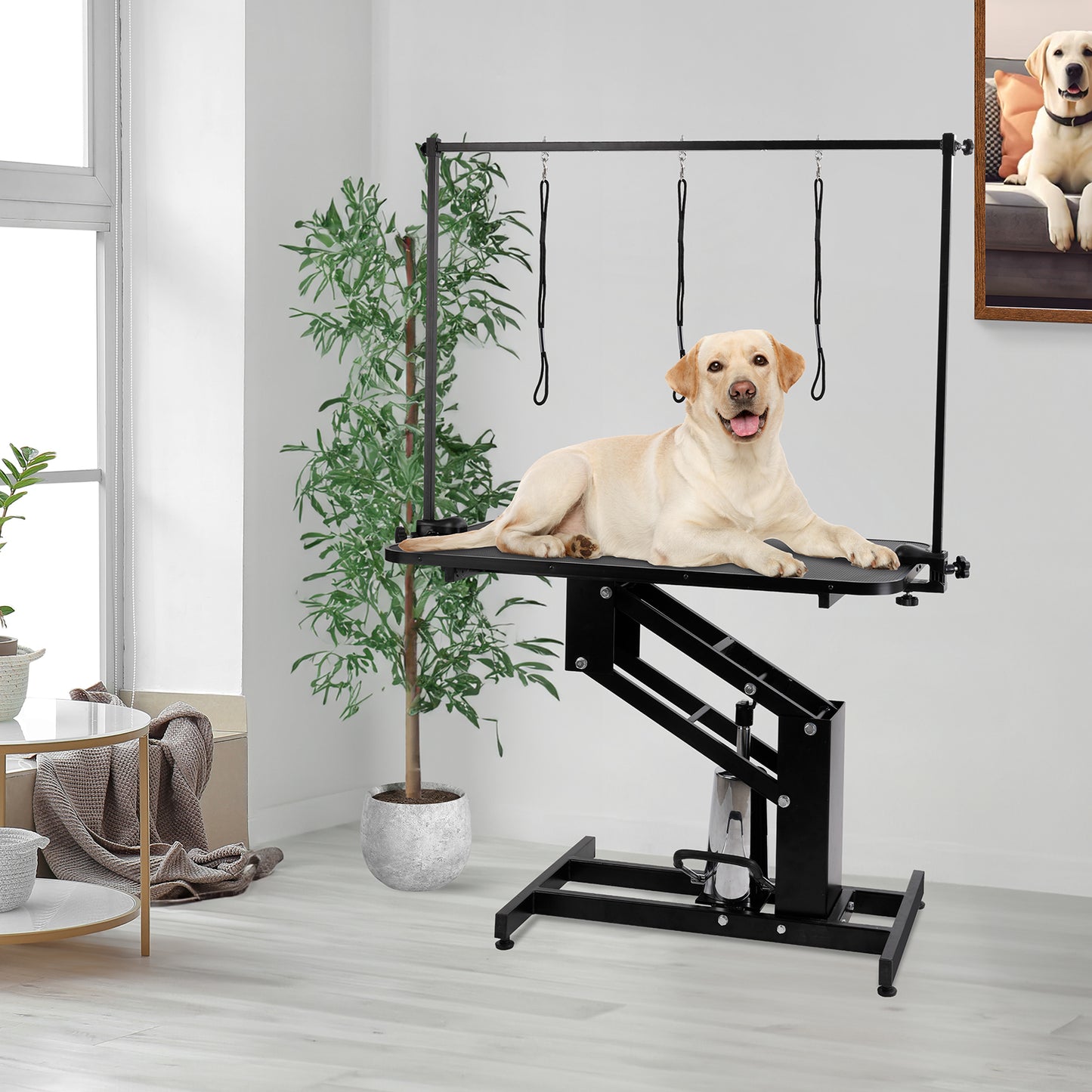 LAZY BUDDY 43'' Hydraulic Dog Grooming Table, Heavy Duty Pet Trimming Table with Arm, Nooses