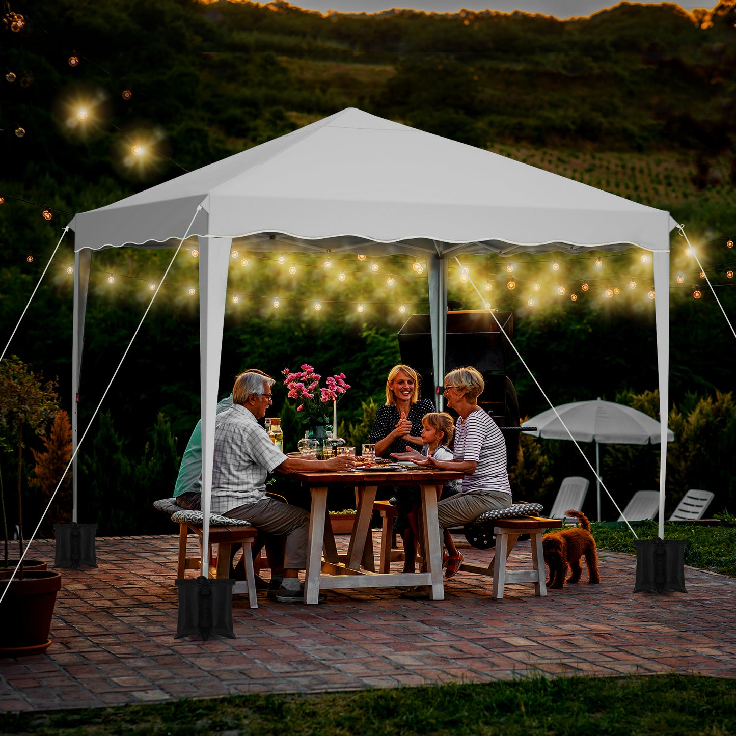 LAZY BUDDY Pop up Canopy Tent, 10x10 ft Commercial Instant Shelter Gazebo with Wheeled Bag, 4 Removable Side Walls, Blue